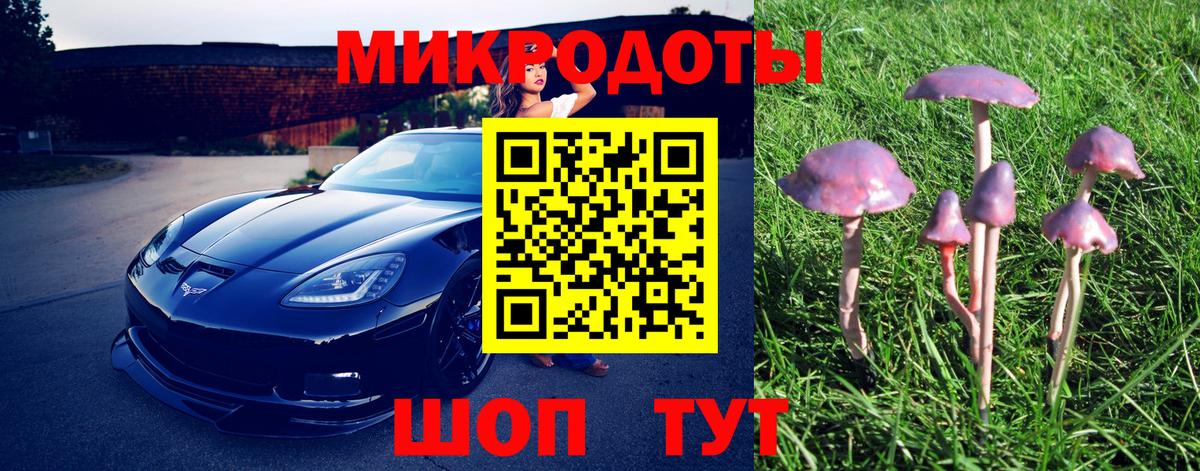 Фролово  Галлюциногенные грибы прущие грибы  Вход с VPN 